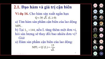Chương 5. Ứng dụng đạo hàm trong phân tích kinh tế