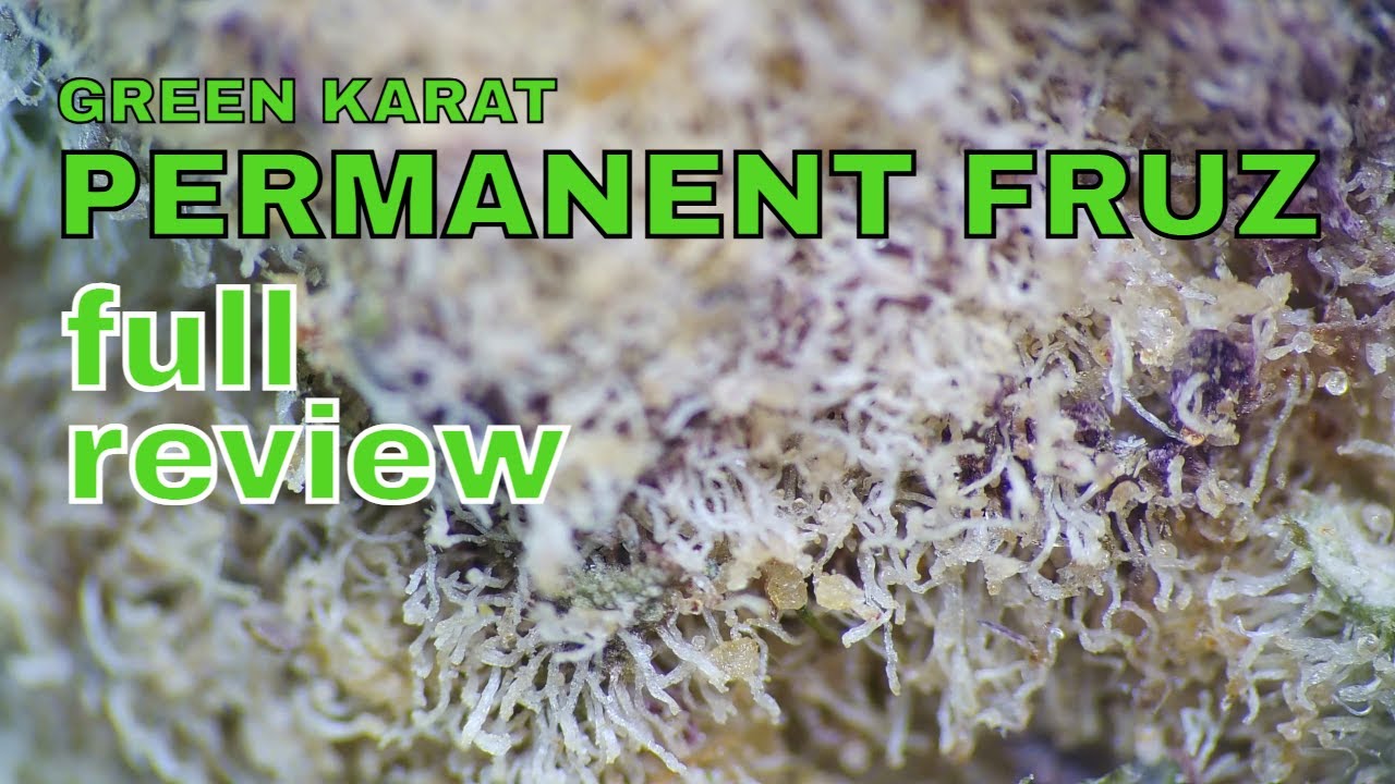 PERMANENT FRUZ FULL REVIEW | Green Karat, Cantourage & Xeal | 20% | 8.50/g