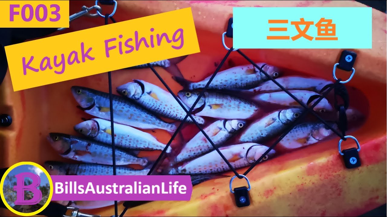 皮划艇钓鱼 / Kayak Fishing Adelaide/ Salmon Trout Fishing Adelaide / Garden