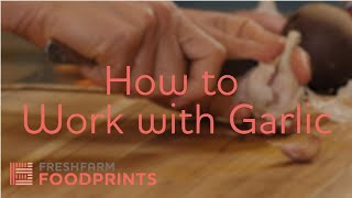 How to Work with Garlic | FRESHFARM FoodPrints
