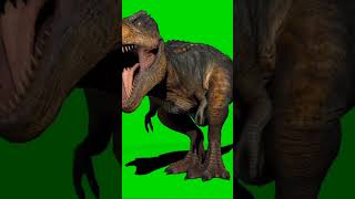 How Green Screens Works In Videos And Movies