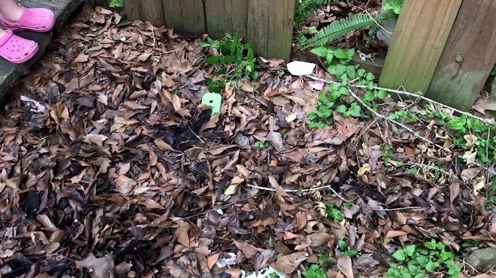 Copperheads - Understand and Avoid Them!