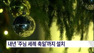 바티칸 성 베드로 광장에 대형 모래 성탄 구유 설치