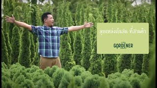 The Gardener คนรักสวน ตอน แหล่งปลูกต้นสนที่ สวนคิว