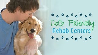 Dog Friendly Rehab Centers