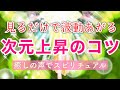 【次元上昇・目覚めのコツ】見るだけで波動があがる #現実が変わるスピリチュアル