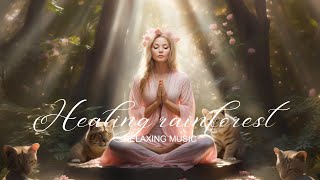 Relaxing Tranquil Meditation Peaceful Music | Healing Rainforest screenshot 3