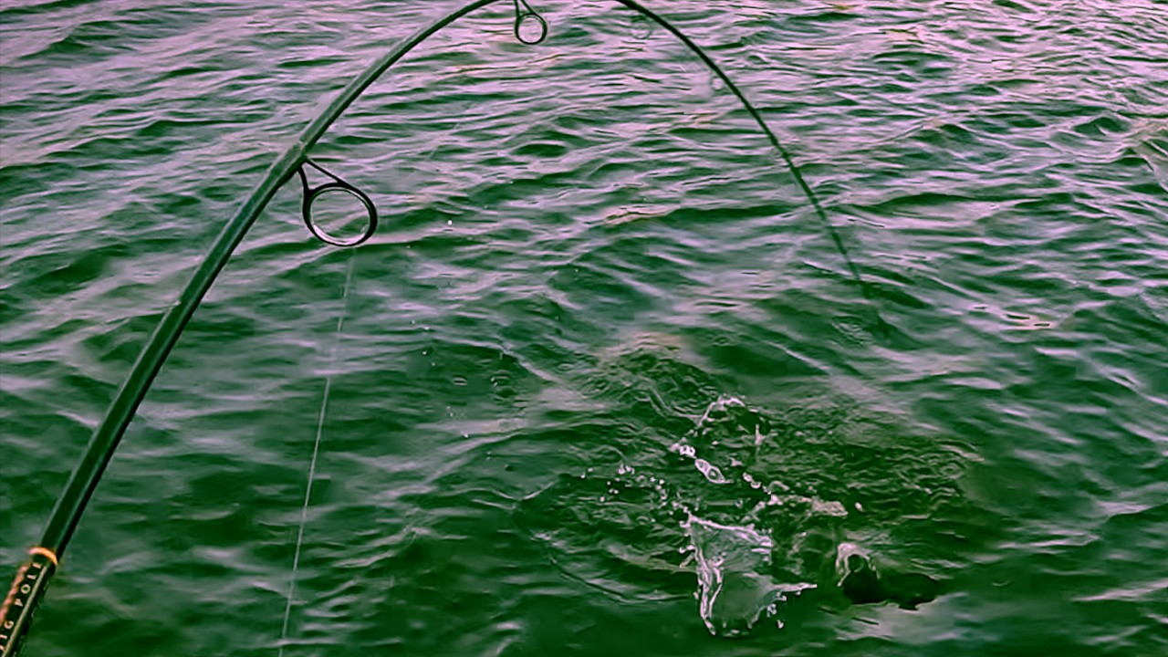 Glad I Went Fishing Today