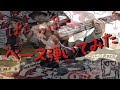 ベース 弾いてみた ぱらっぱー オズ