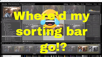 Lost filter sorting module in lightroom classic? Recover it EASY here!