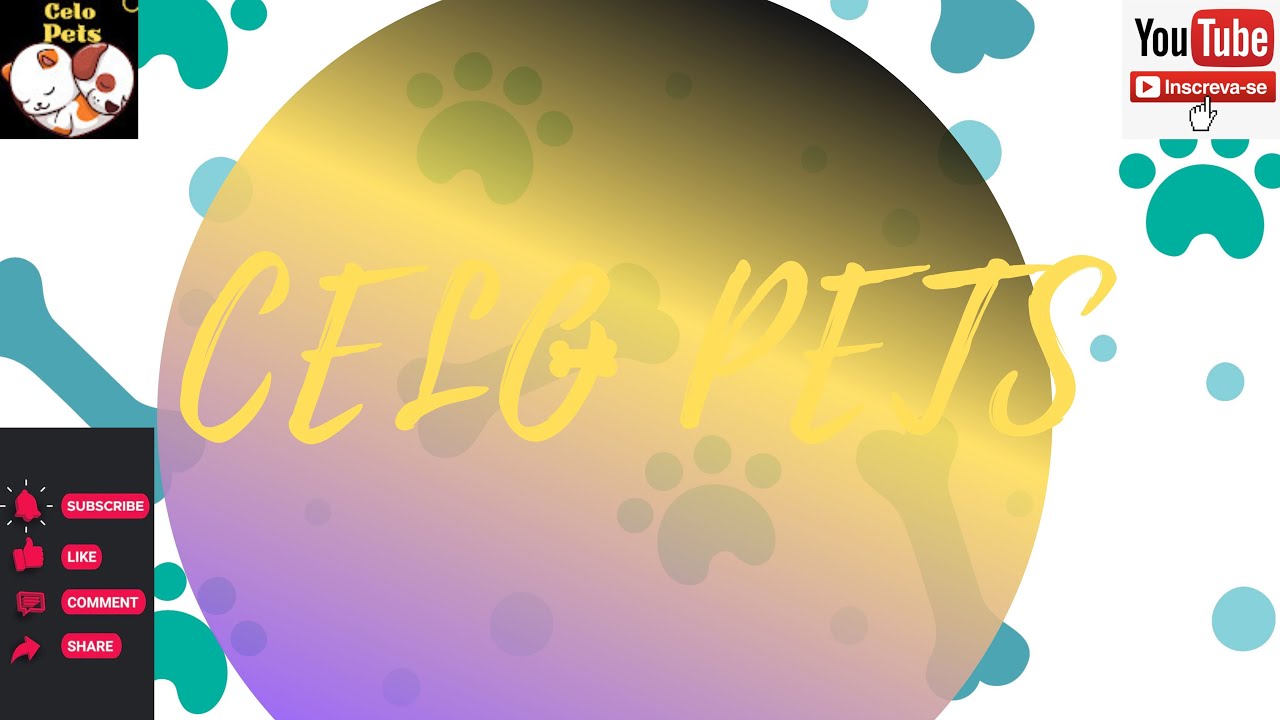 Celo Pets - Animais Engraçados / Funny Animals Channel 🐶🐱 #1 - YouTube
