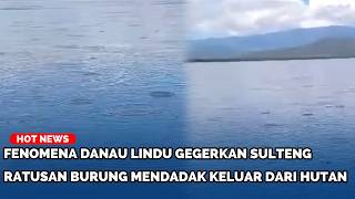 Warga Panik Danau Lindu Di Sulteng Bak Mendidih, Burung Mendadak Berhamburan