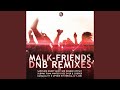 Friends (3rd Degree DnB Remix)