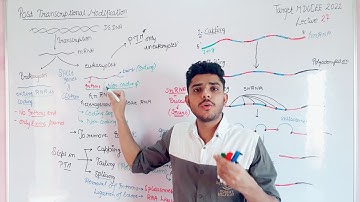 Post transcriptional modification in eukaryotes #mducee2023 #mducee  |Target MDUCEE-2021| lecture-27