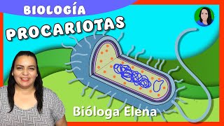 Prokaryotic cell: parts and functions