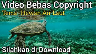 Video Gratis Ikan Air Laut Bebas Copyright/ Video Bebas Hak Cipta/Silahkan di Download Sekarang