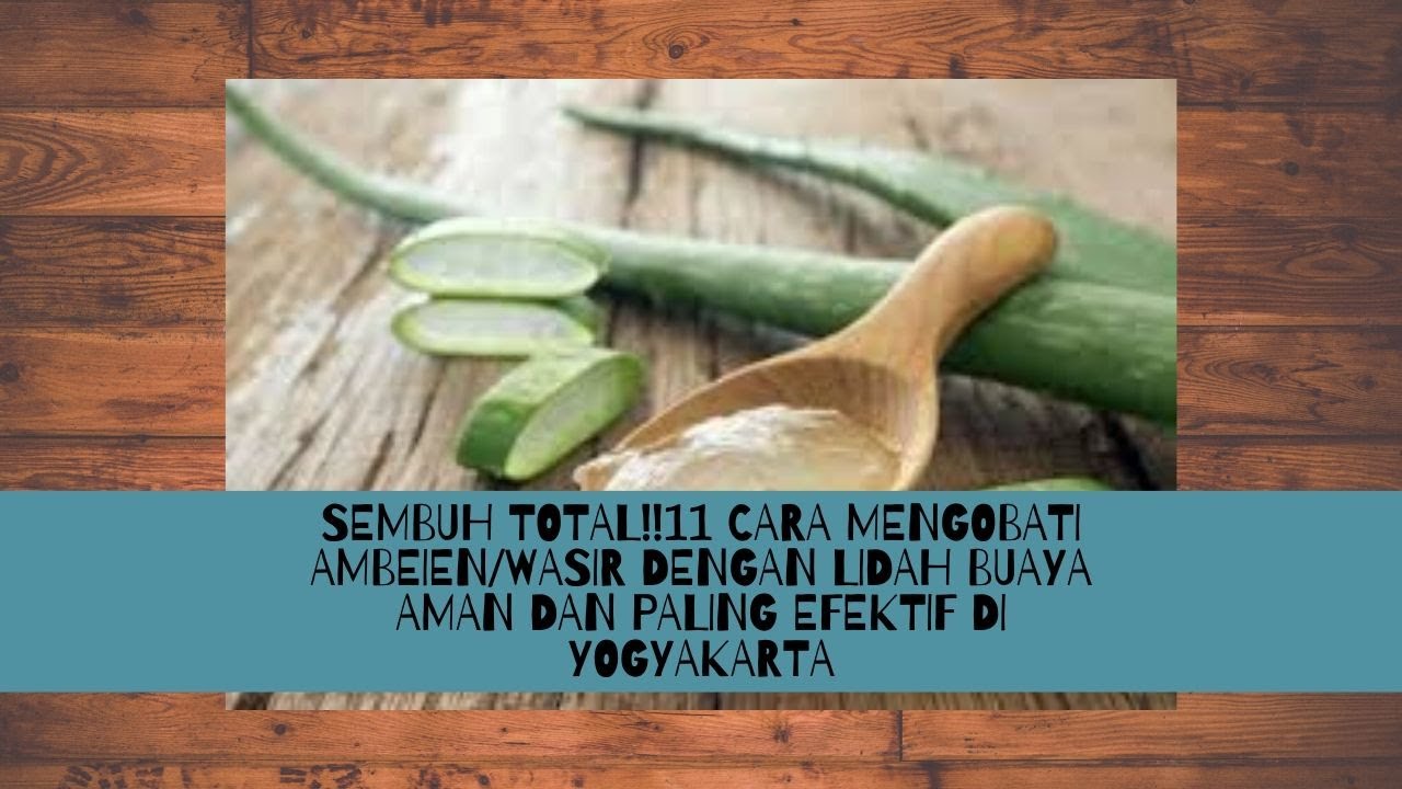 SEMBUH TOTAL!11 CARA MENGOBATI AMBEIEN DENGAN LIDAH BUAYA AMAN DAN