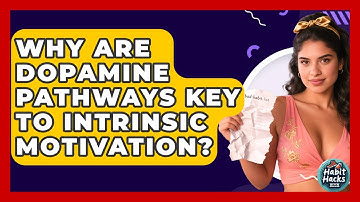 Why Are Dopamine Pathways Key To Intrinsic Motivation? - Habit Hacks Hub