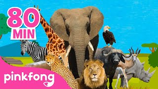 Esta Es La Sabana Recopilación Canciones De Animales Pinkfong Canciones Infantiles