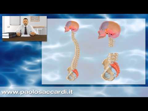 Video: Osteopatia Cranica: Reclami, Effetti Collaterali E Precauzioni
