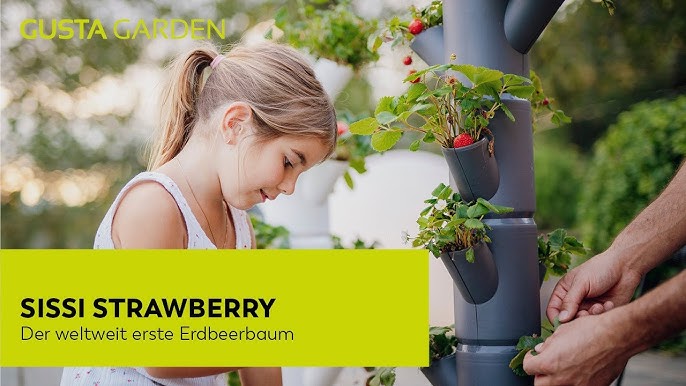Gardening] - oder Mit CHILI eigene [Urban Balkon, YouTube anbauen Terrasse im auf CHARLY Garten Chilis