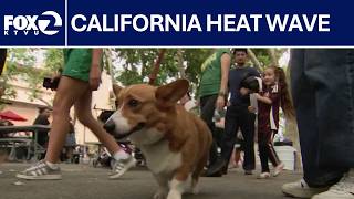 Beating the heat at Alameda County Fair | KTVU screenshot 2
