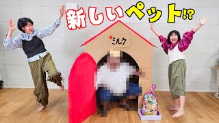 寸劇☆巨大な段ボールのお家を作ったら、どんなペットが出てくる？わんことおうちhimawari-CH