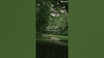 قران كريم؟اجر لي ولكم
