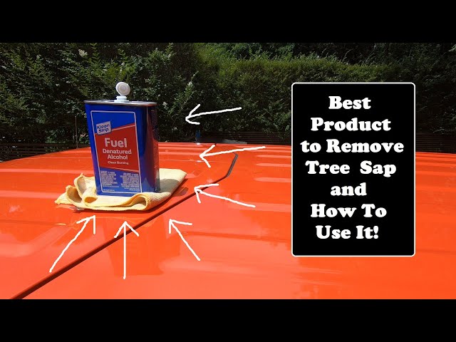 How Do I Remove Tree Sap From My Car? – Ask a Pro Blog