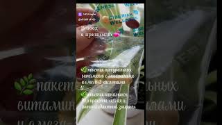 еда в обед) #здоровье #женщина #бады #сухость #организмчеловека #иммунитет