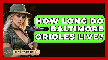 How Long Do Baltimore Orioles Live? - Bird Watching Diaries