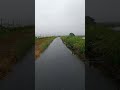 美川憲一【小雨のブルース】