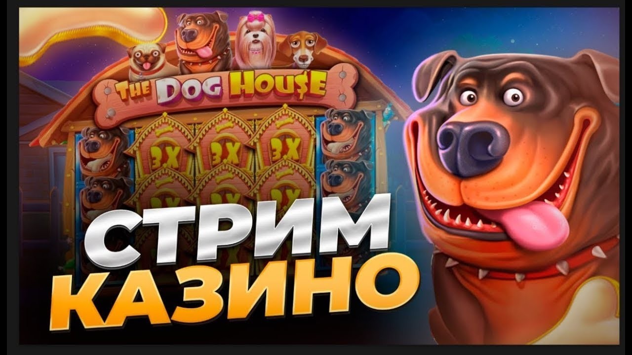 Играем и общаемся! #shorts #стрим