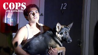 Desconocido Armado Sostiene A Un Perro Como Escudo Episodio Completo Cops En Español