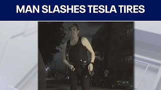 Austin crime: Man caught on camera slashing Tesla tires | FOX 7 Austin