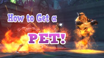 Order and Chaos 2: Redemption- How to get a Companion Pet!