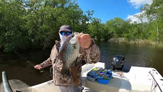 Back on the Ogeechee River Crappie