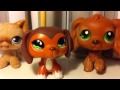 LPS: popular song - TomxSavvy (for SophieGTV)