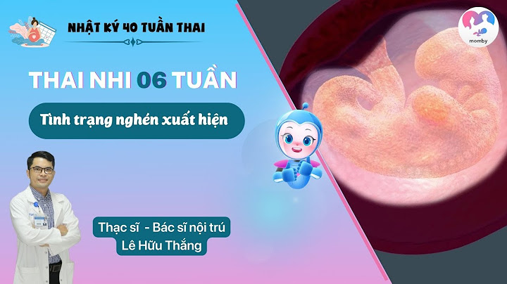 Thai tuần thứ 6 phát triển như thế nào