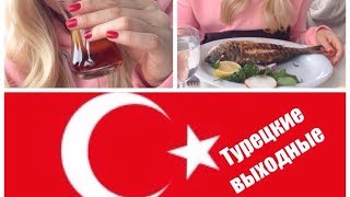 ТУРЕЦКИЕ ВЫХОДНЫЕ : др свекрови, озеро Гёльбаши / Турция, Анкара, / Голуби, много ГОЛУБЕЙ ТУРЕЦКИЕ ВЫХОДНЫЕ : др свекрови, озеро Гёльбаши / Турция, Анкара, / Голуби, много ГОЛУБЕЙ