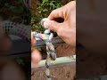 easy knot#knot #rope #a #diy #camping #outdoor #tutorial