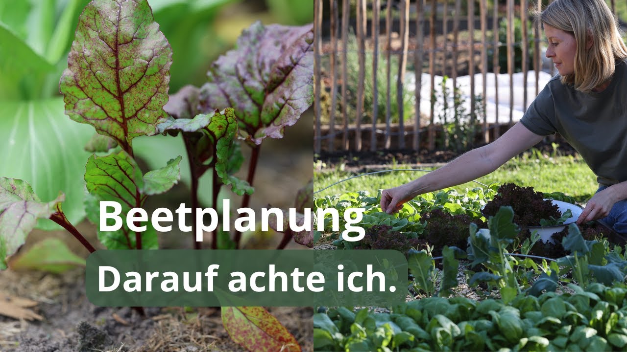Beetplanung 2026🌱 | So plane ich meine Gemüsebeete im Garten und im Hochbeet