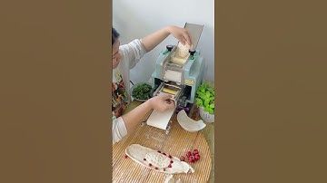 自动饺子皮机，擀皮的好帮手#饺子皮机 #food #混沌皮机 #包子皮机
