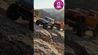 Off-roading adventures se lekar unexpected moments tak! 🚗💨🐼 Dekhiye yeh entertaining compilation