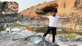 Bahot Sare Tilapia Fish Ke Bache Catch Kiye 🎣