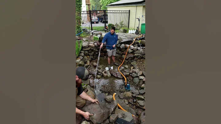 Satisfying Pressure Washing large Backyard KOI POND #shorts #koipond #pond #aquascape
