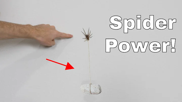 ¿Cuánto peso puede soportar una araña al trepar por la pared y el techo?