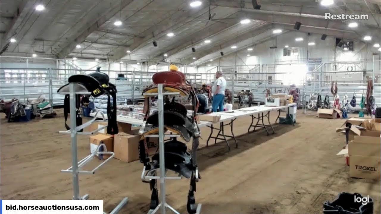 Lumberton Horse and Tack Auction, Lumberton NC YouTube