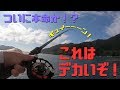 【ヘチ釣り】これはデカイぞ!0円餌でついに本命か!?五島列島福江島荒川港でヘチ釣り34話