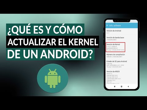 ¿Qué es, para qué sirve y cómo actualizar el Kernel de un ANDROID?